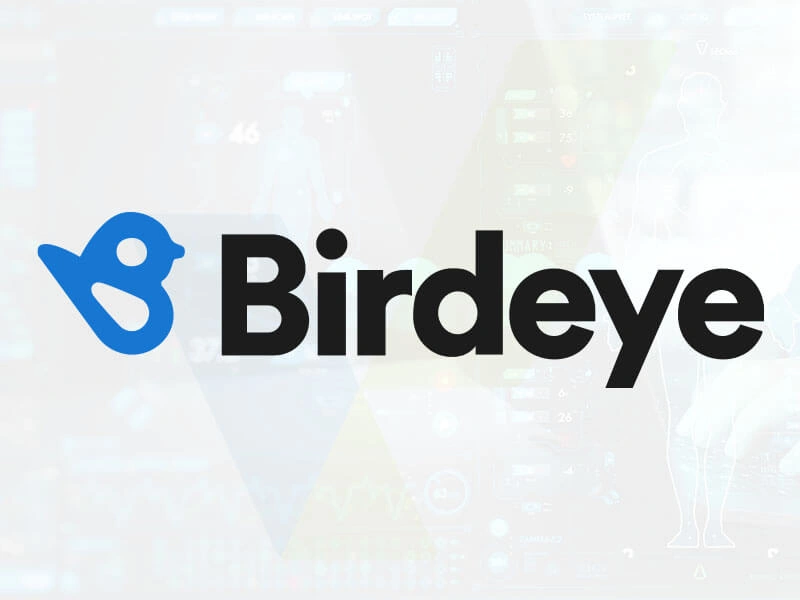 birdeye